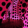 Kusama 1